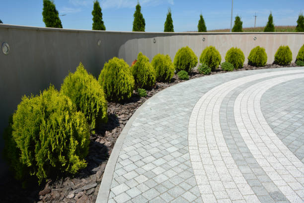 Best Local Driveway Pavers  in Clarendon Hls, IL
